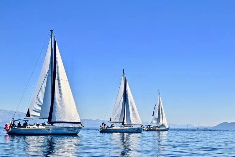 What do sailboats look like