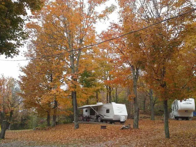 maple-grove-campground