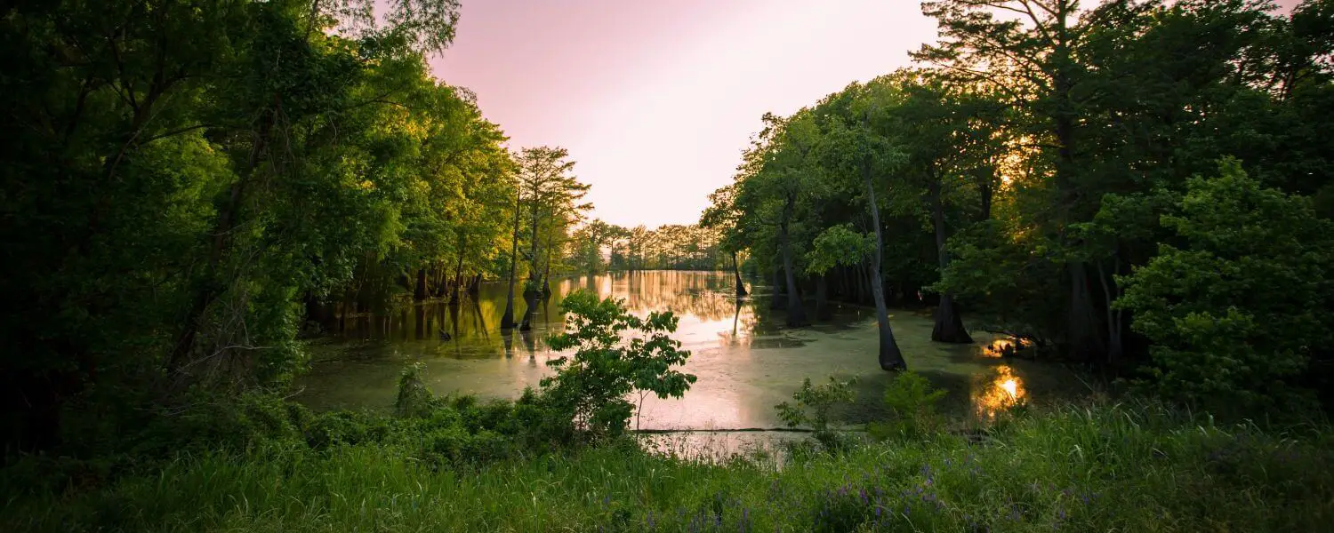The Best Campgrounds Mississippi, USA
