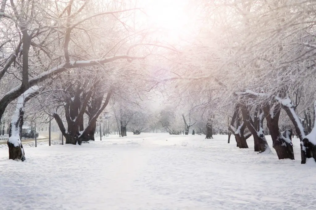 Winter park in Russia, Moscow