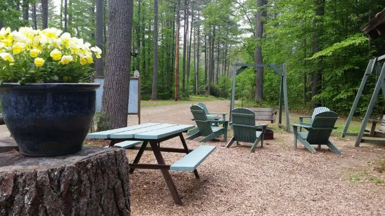 tree-farm-campground